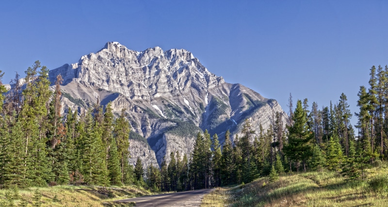 car, alpine, fir, clear sky, mountain range, dry, mountain, journey, tree, move, peak, summer, scenery, green, reflect, canada, columbia, place, Trees