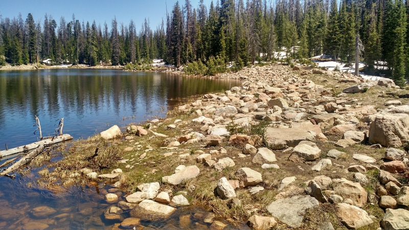 sky, scenic, land, trees, woods, scenics - nature, idyllic, stream, snow, mountaineering, reflection, alone, peaceful, range, coniferous tree, mountain