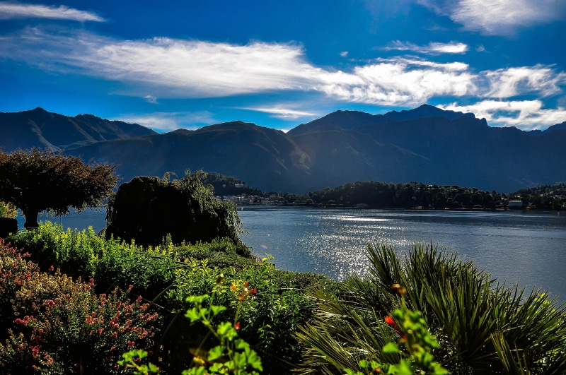 lake como, growth, water, 4K, outdoors, mountains, tree, mountain, flowering plant, summer, beauty in nature, body, plant, landscape, basant di como, cloud - sky