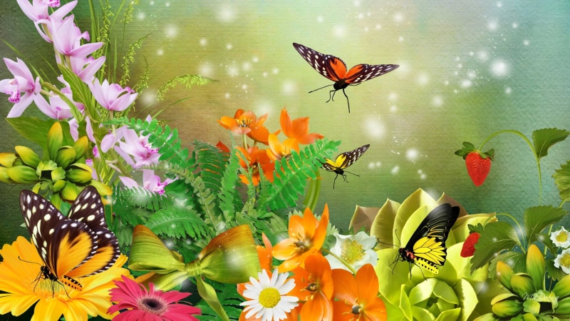 animal themes, animal wildlife, animals in the wild, beauty in nature, animal, 4K, flower garden, fragility, butterflies, nature, spring, invertebrate