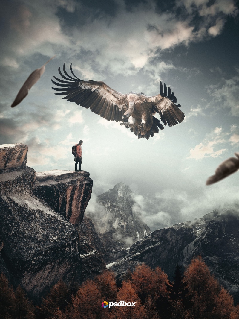 nature, Psdbox, Photoshop, photo manipulation, 2K, vultures, men, eagle, Andrei Oprinca, mountains
