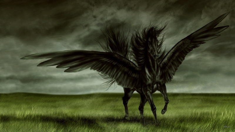 nature, plant, animal body part, sky, animal wildlife, no people, flapping, fantasy art, grass, vertebrate, cloud - sky, bird, spread wings, land, animals in the wild