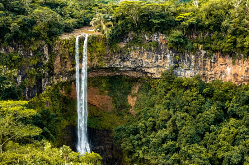 viewpoint, tree, falling water, chamarel, blurred motion, chamarel waterfall, mauritius, growth, water, day, motion, height, green color, beauty in nature