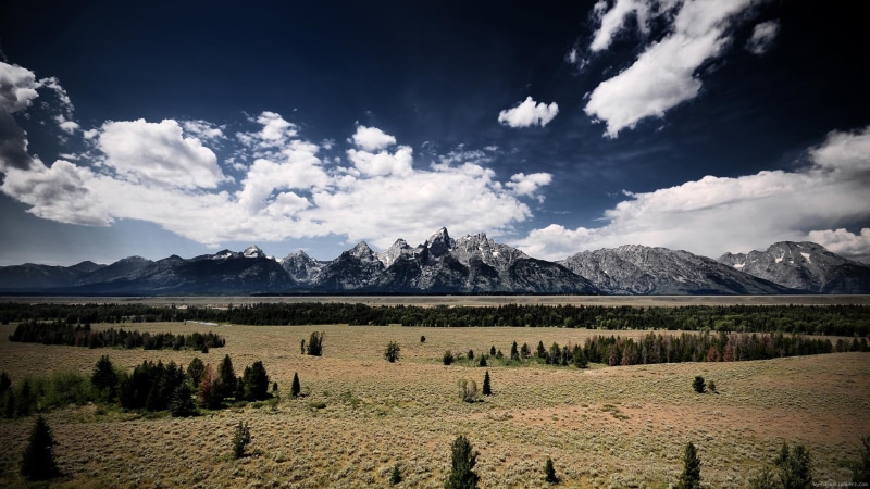 trees, cloud, moutains, mountain, 1080P, field, roc, tree, view, landscape