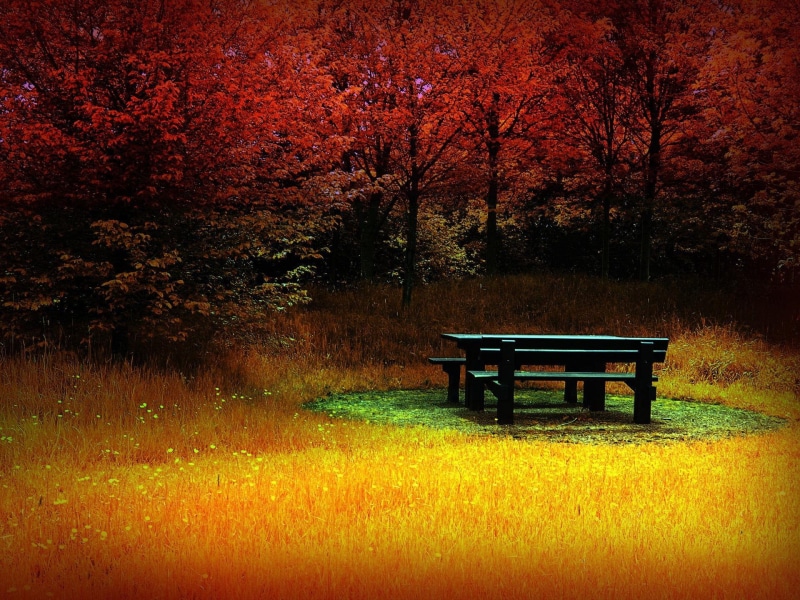 set, herbst, 1080P, table, 3d and abstract, widescreen, picnic, feuer, orange, bench, black, forest, yellow, autumn, fire