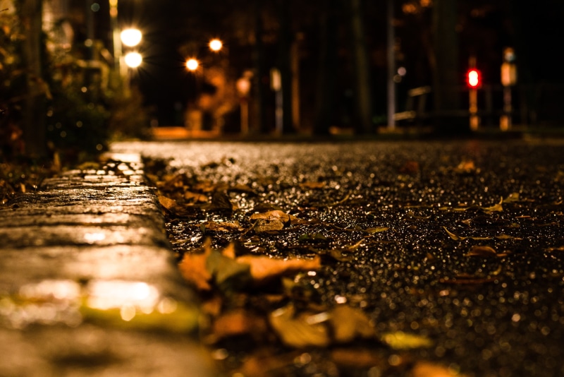 evening, Europe, Farben, Europa, 8G, night, macro, autumn, germany, dried, 2K, AF, city, Baum, brown, Stadt, Deutschland, Wuerttemberg  Baden, macro shot