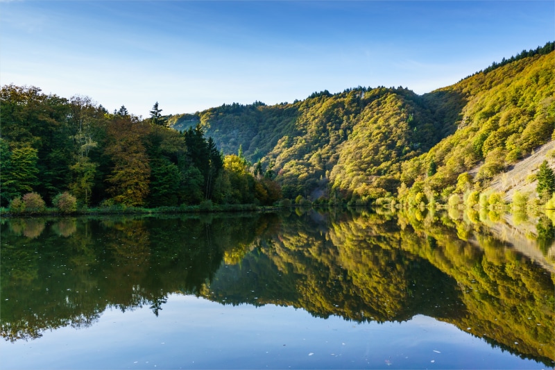 forest, mountain, Norbert, hill, tree, Explore, nature, lake, beauty In Nature, water, reimer, green Color, natur, green, saarland, deutschland, river