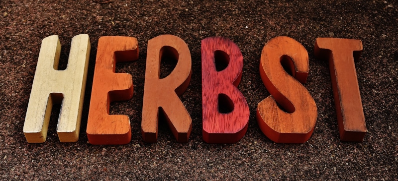 nature, single word, autumn, letters, brown, in a row, capital letter, time of year, message, day, number, alphabet, decor, wood - material, directly above