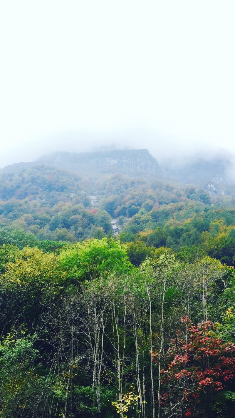 sky, day, environment, herbst, beauty in nature, plant, fall, 2K, colores, mood, mountain, cloudy, tree, ticino, bushcraft, foggy, hiking, idyllic, tranquil scene