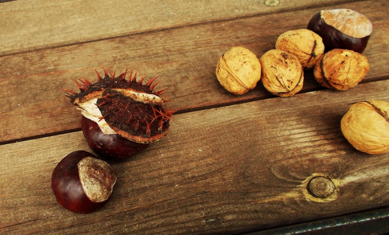 brown, high angle view, no people, nut, healthy eating, kastanie, freshness, walnut, food and drink, food, walnsse, braun, nut - food, fruit, indoors, chestnut - food