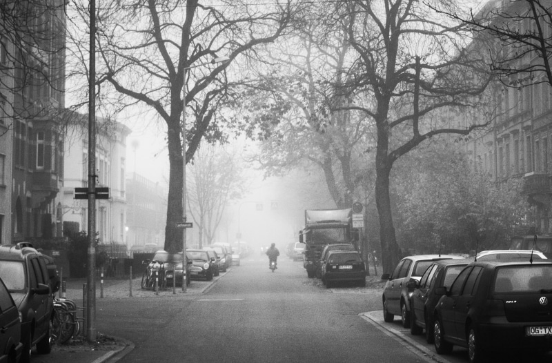 built structure, Street, Baume, architecture, building exterior, nature, Duster, oststadt, day, karlsruhe, transportation, city, tree, baum, Trees, group of people