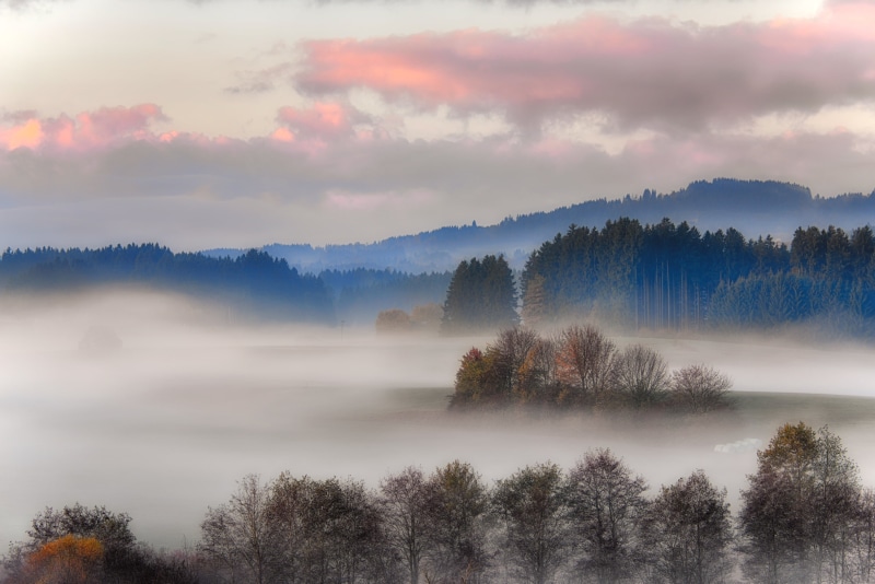 Herbst, Europa, autumn, Bäume, Germany, trees, nature, Morgen, morning, Nebel, landscape, 2K, sunset, daytime, sunrise - Dawn, forest, ngc, brown, Bayern