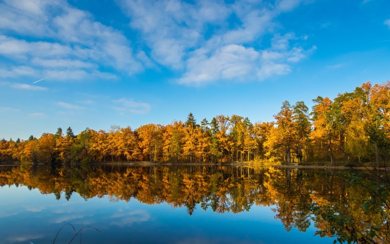 Natur, Umwelt, water, season, blue, nature, Landscape, Stuttgart, yellow, woodland, 1080P, sunny, leaf, Autumn, beauty In Nature, scenics, color, forest