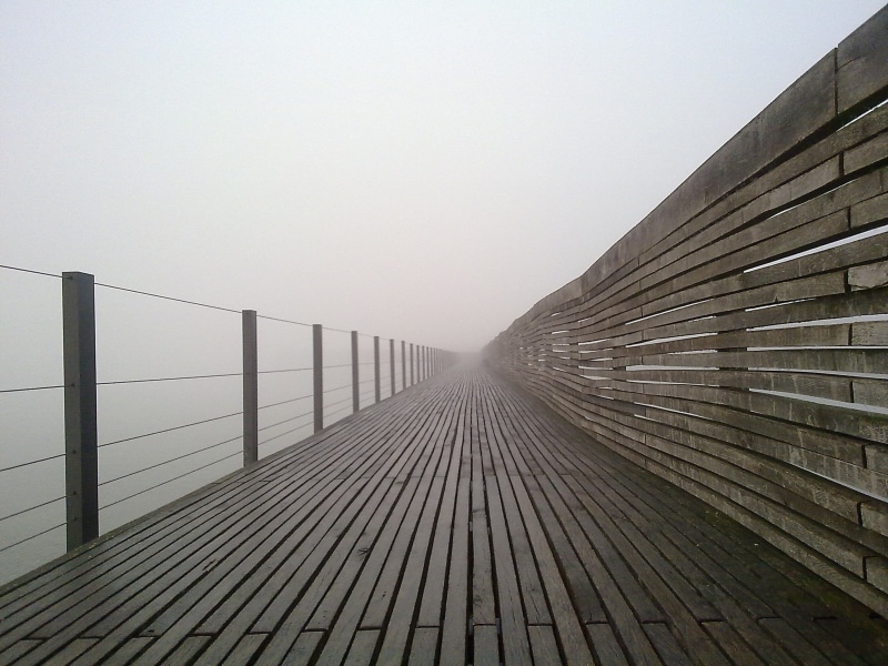 fogs, wooden, outdoors, thick, surrounded, nature, pathway, 2K, photo, brown, Herbst, Nebel