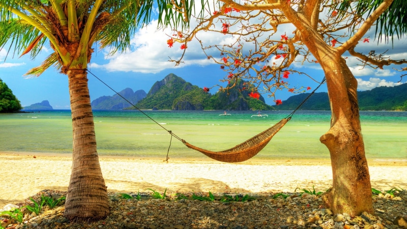 tree, sand, journey, seascape, leaves, no People, plant, tropical Climate, hammock, relaxation, cloud - Sky, coast, landscape, tranquil Scene, beach, tourism