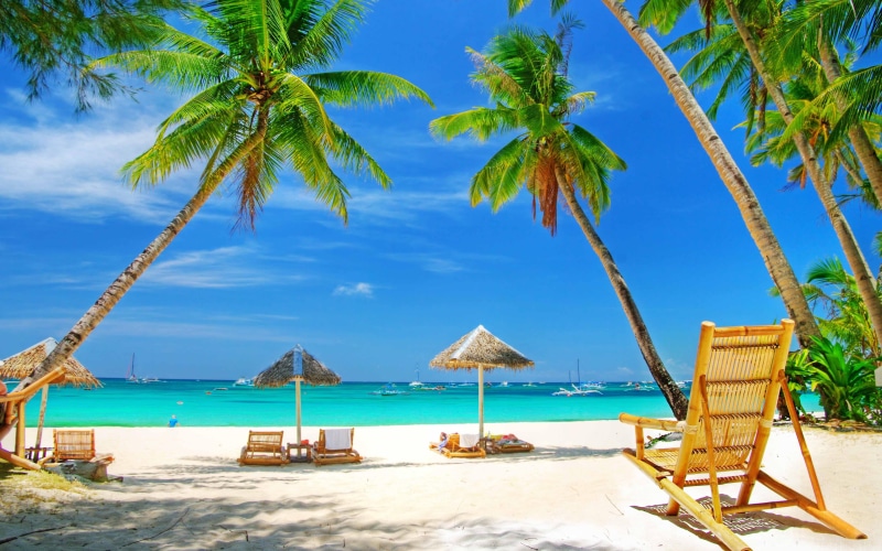  coconut palm tree, tajland, sand, koh, sea, no people, outdoors, beach, plant, cloud - sky, hd, 4K, beauty in nature, sky, tranquil scene, tropical climate