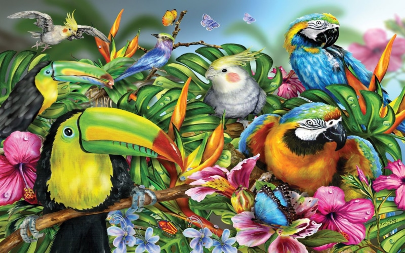 butterflies, blue, ara, 1080P, flowers, red, papagal, colorful, art, birds, tropical, hd, beak, reddish, toucan, bird