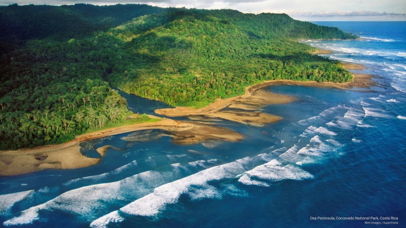 corcovado, national, costa, peninsula, 2K, park, Nature, rica, osa