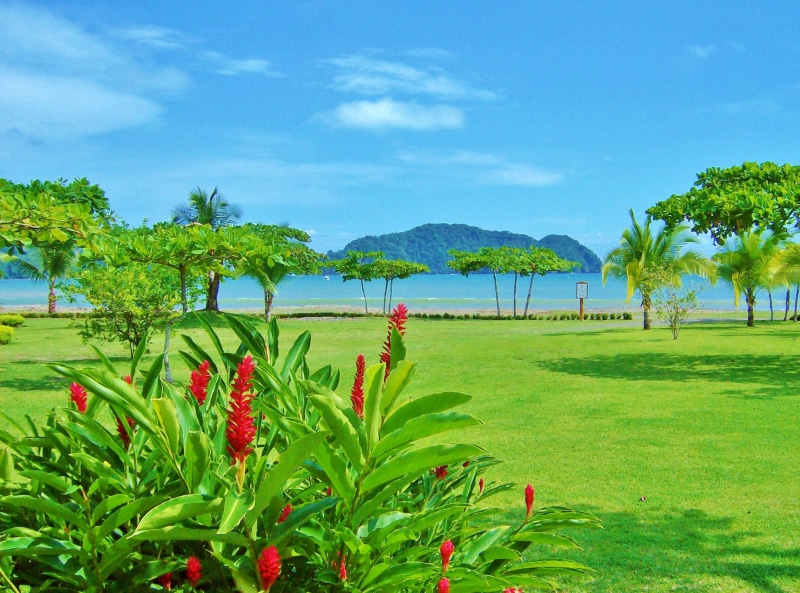 beauty in nature, summer, tranquility, flower, Beach, sea, tree, cloud - sky, coastline, grass, land, day, green Color, scenics, scenics - nature, palm Tree