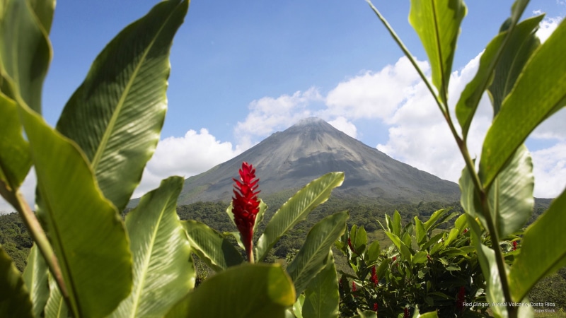 rica, red, 2K, costa, volcano, arenal, ginger, Nature