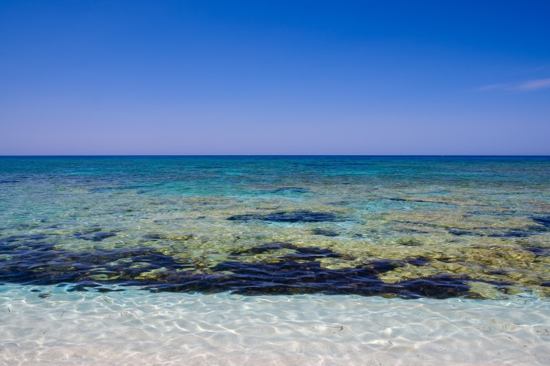 seaside, 4K, tranquil scene, italy, beauty in nature, beach, horizon over water, cabras, sardegna, nature, mare, purity, turquoise colored, spiaggia is arutas