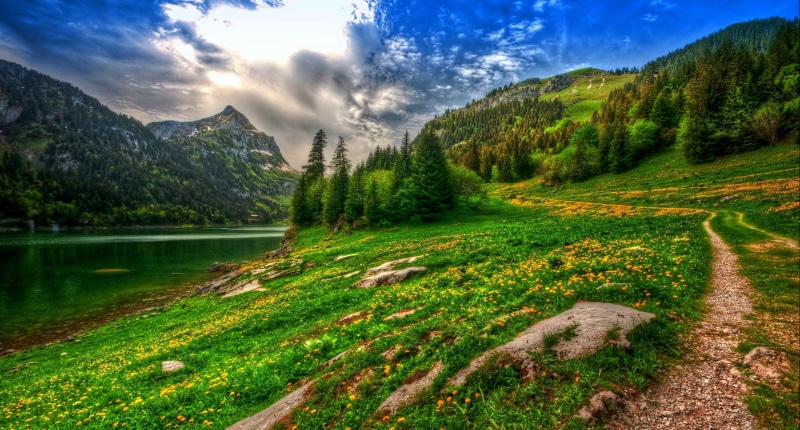growth, path, beauty in nature, water, no people, 1080P, forest, mountain range, landscape, HDR, plant, Switzerland, non-urban scene, spring, lake, mountain