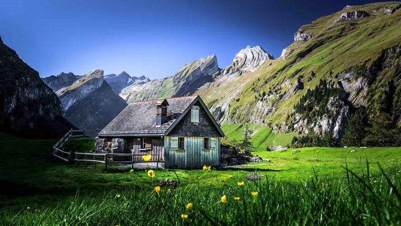 cottage, environment, day, sky, summer, built structure, landscape, architecture, cabin, wildflowers, mountains, mountain, shrubs, building exterior, scenics - nature