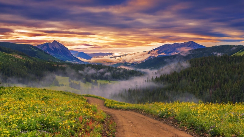 coniferous tree, nature, mountains, covered, cloud - sky, tree, landscape, 1080P, sun, grass, wildflowers, sky, path, road, mountain, valley, scenics - nature
