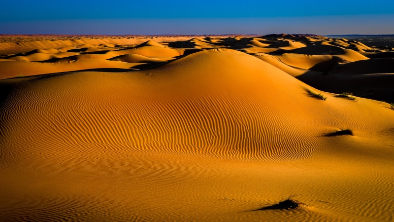 oman, s, tranquility, scenery, desktop, sky, environment, mobile, climate, animal wildlife, sand, tablet, red, travel, travel destinations