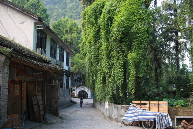 house, no people, day, absence, empty, 5K, plant, old, xingping, architecture, tree, cultures, green color, building exterior, residential district, village