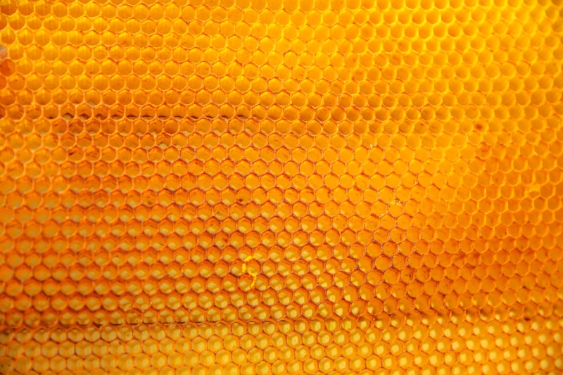 macro, no people, orange color, textured, textile, backgrounds, wire, rough, pattern, design, 5K, animal themes, abstract, extreme close-up, nature, paper