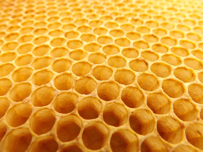 nature, no people, Honey comb, close-up, wax, natural pattern, beekeeping, outdoors, beeswax, full frame, macro photography, yellow, textured, day, honey