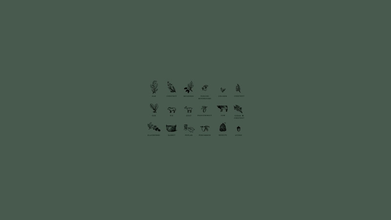 large group of objects, basket, capital letter, poplar, technology, cut out, beehive, illustration, cow, oak, goat, green, acorns, western script, Chicken