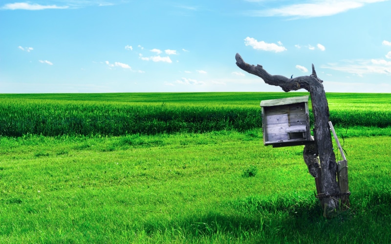 farmland, agricultural, post, beehive, wonderworld, green, nature, 3d and abstract, 2K, blue, field
