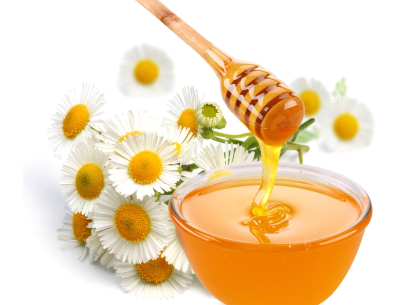 drink, flowering plant, plant, white, liquid, studio shot, syrup, indoors, sweet, rod, sweet Food, close-up, food And Drink, wooden, honey Dipper, nature