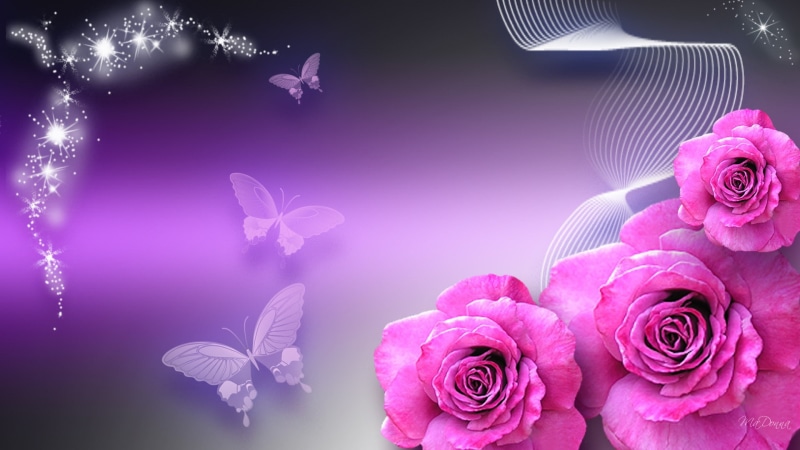 1080P, 3D, Rose, paper, pink, rose live  download, desktop, 1920x1080, flower, large rose, 3d rose live, butterfly
