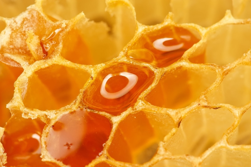wax, honey, close-up, beehive, backgrounds, cells, freshness, food, hexagon, wellbeing, full frame, flower, orange color, animal Cell, 2K, selective focus