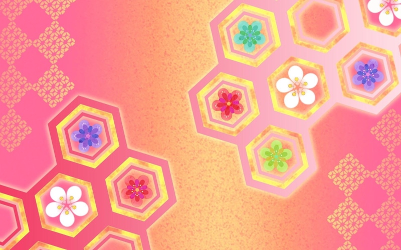 floral, purple, pink, daisies, daisy, teal, digital art, white, green, honeycombs, 1920x1200, 1080P, red, honeycomb