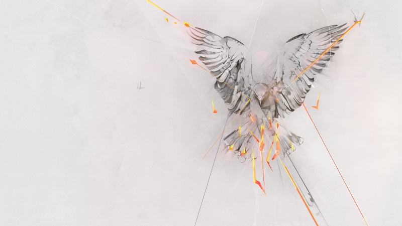 high angle view, white color, art and craft, fun, close-up, wall - building feature, 1080P, decoration, gray, nature, phoenix, copy space, indoors, bird