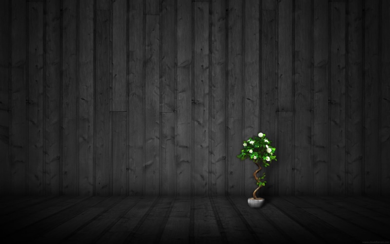 indoors, green color, artwork, creativity, glowing, no people, illuminated, day, plant, nature, textured, plants, texture, 2K, lighting equipment, wood - material
