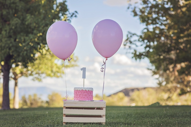 cake, cake smash, festive, day, happiness, daytime, Happy Birthday, little, greeting, land, tree, celebration, pink, sunlight, happy birthday card, field