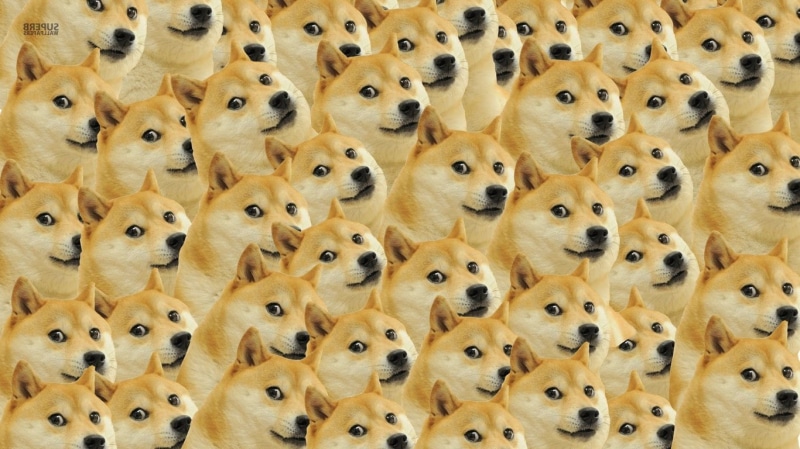 brown, indoors, repetition, full frame, large group of objects, pattern, wood - material, backgrounds, representation, doge face memes dog, 720P, directly above