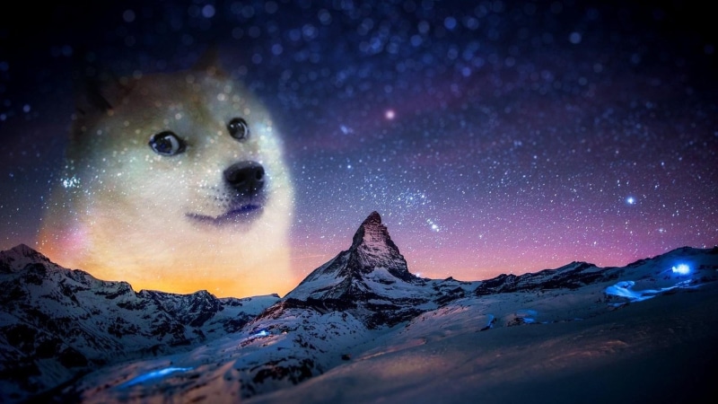 dog, meme, 1080P