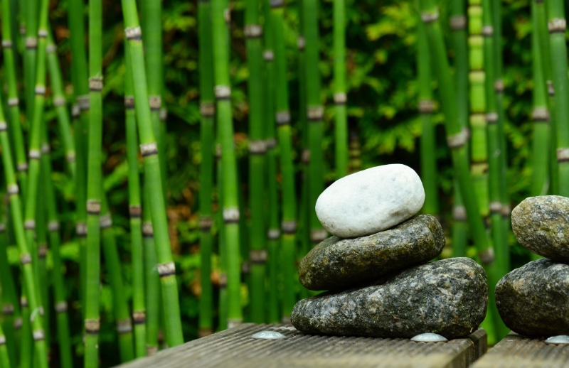 tranquil Scene, solid, water, gray, zen-like, pebble, focus on foreground, relax, stones, day, stack, tranquility, green, garden, piled, plant, close-up