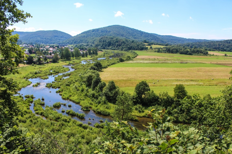 nature, river, tranquility, sunny, growth, no people, tree, summer, travel, 5K, land, panorama, poland, top view, blue sky, field, holiday, holidays, tranquil scene