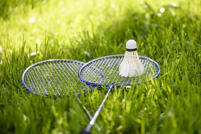babington, ball, summer, games for kids, green color, plant, dart, selective focus, land, white, blue, green, active holidays, growth, leisure Games, game for two