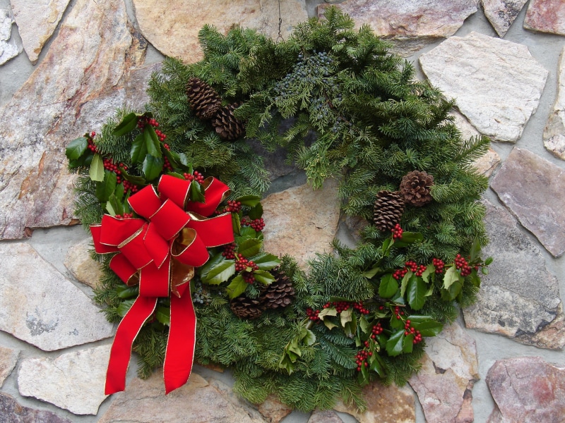 ribbon, Wreath, fir, green color, merry, rock, cactus, wall, Decoration, christmas, potted plant, seasonal, solid, green, no people, outdoors, plant, celebration