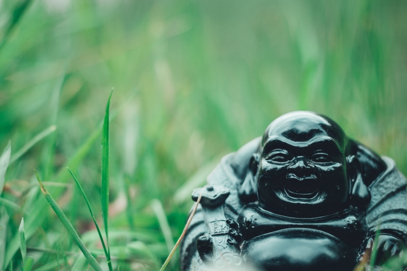 buddha statue, monk, mystical, headshot, stone figure, field, inner calm, figure, serenity, meditation, outdoors, growth, asia, portrait, selective focus