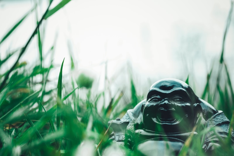 nature, sculpture, green color, fernöstlich, close-up, security, symbol, 4K, land, focus on foreground, enlightenment, no people, holy, day, laughing buddha
