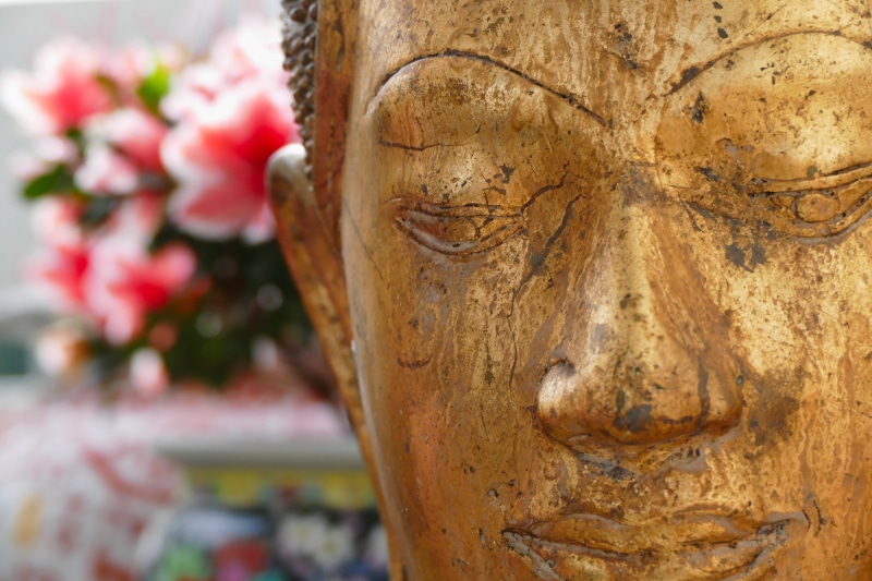 sculpture, enlightenment, flowering plant, representation, belief, gold, rest, faith, close-up, meditation, prayer, figure, buddhist, spirituality, 5K